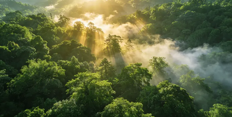 佛山肺癌172基因检测图片1