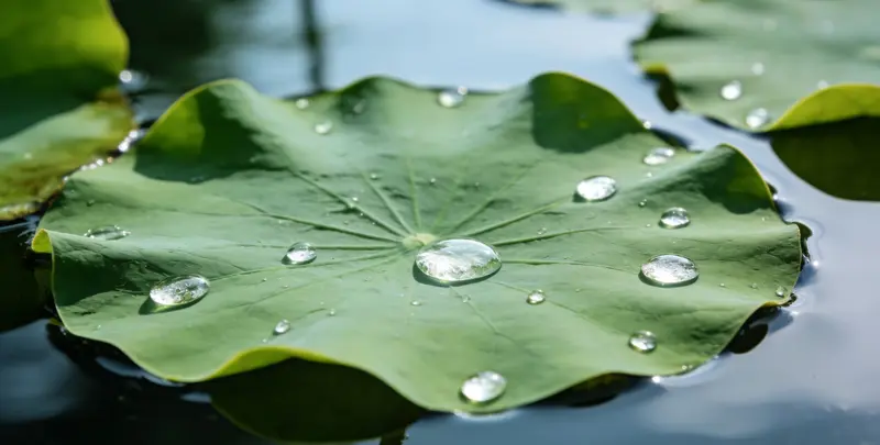 佛山乳腺癌21基因mRNA表达分析图片1