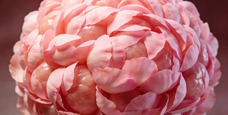 佛山BRCA1/2乳腺癌卵巢癌基因检测图片1